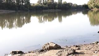 Флэт-фидер на реке Кубань осенью: рыбалка с подписчиком, карась и первый дикий сазан