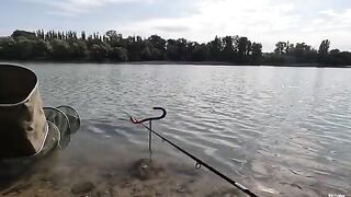 Флэт-фидер на реке Кубань осенью: рыбалка с подписчиком, карась и первый дикий сазан
