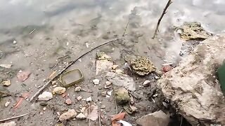 Флэт-фидер на реке Кубань осенью: рыбалка с подписчиком, карась и первый дикий сазан