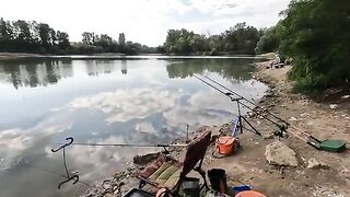 Флэт-фидер на реке Кубань осенью: рыбалка с подписчиком, карась и первый дикий сазан