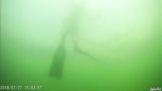 Летний выходной на Донузлаве с рыбалкой для ухи и нырянием за мидиями к вечернему ужину