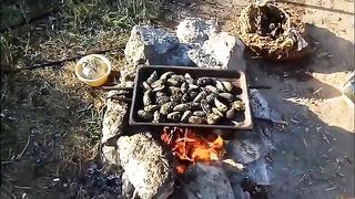 Летний выходной на Донузлаве с рыбалкой для ухи и нырянием за мидиями к вечернему ужину