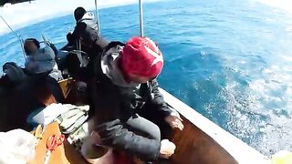 Морская рыбалка из Ылдыра у Чешме: пробуем небольшую лодку и знакомимся с капитаном
