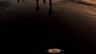 Кастинг у пирса Санура на Бали: забросы по поверхностному бою и поиск активной рыбы