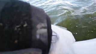 Первый выход с эхолотом на Минское море в поисках сома и хищника до вечернего троллинга