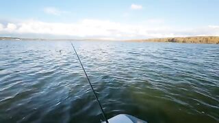 Первый выход с эхолотом на Минское море в поисках сома и хищника до вечернего троллинга