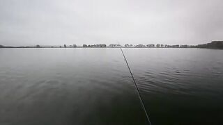 Первый выход с эхолотом на Минское море в поисках сома и хищника до вечернего троллинга