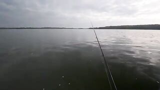Первый выход с эхолотом на Минское море в поисках сома и хищника до вечернего троллинга