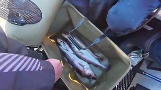 Кемпинг в Териберке и ночная рыбалка на Баренцевом море: лагерь в бухте и прогулки по побережью