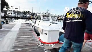 Крупный желтохвост на поверхностное железо и лингкод у островов Коронадо на выходе из Сан-Диего