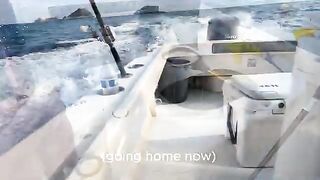 Крупный желтохвост на поверхностное железо и лингкод у островов Коронадо на выходе из Сан-Диего