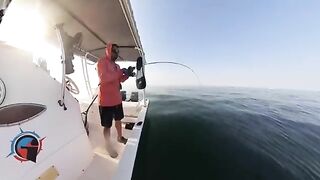 Морская рыбалка в Кувейте с лодки под тентом и сильными поклевками в открытой воде залива