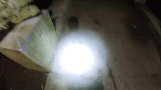 Со своим спиннингом на скалы Ко Чанга за небольшой морской рыбой и ночью на поиски крабов