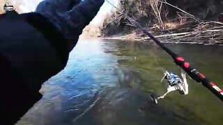 Ноябрьский хариус на Уссури в Приморье при морозе минус тринадцать и ловле на разные мушки
