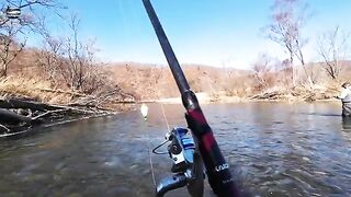 Ноябрьский хариус на Уссури в Приморье при морозе минус тринадцать и ловле на разные мушки