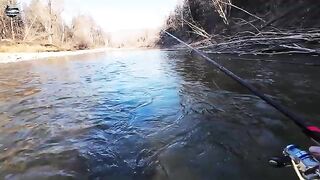 Ноябрьский хариус на Уссури в Приморье при морозе минус тринадцать и ловле на разные мушки