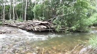 Три июльских дня за хариусом и ленком на горной реке Приморья после размыва таежной дороги