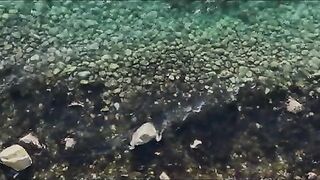 На остров Окусири возле Хоккайдо с нахлыстовой снастью и серфбордом по небольшим японским дорогам