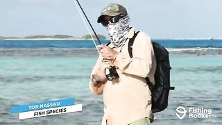Рыболовный маршрут по Нассау на Багамах с выбором между мелководьем, рифом и океанским выходом