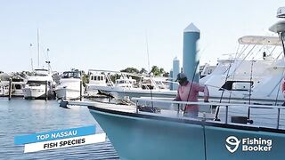 Рыболовный маршрут по Нассау на Багамах с выбором между мелководьем, рифом и океанским выходом