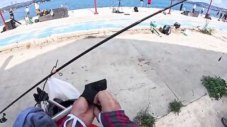 Пеламида на Босфоре у Бейкоза: многолюдный берег, разговоры с рыбаками и ожидание поклевки