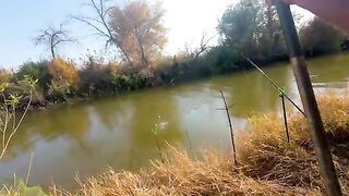 Осенняя рыбалка под Астраханью: крупная красноперка на поплавок в узкой речке