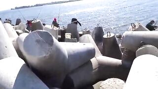 За салакой на Северный мол Балтийска: рыбалка среди камней, найденная оснастка и ведерко улова