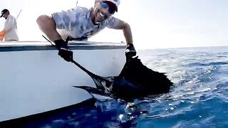 Спортивная рыбалка из Кепоса в Коста-Рике: марина Пес-Вела, капитаны и морские трофеи