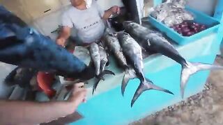 Подводная охота у Эль-Нидо на Палаване: поиск макрели и приготовление добычи на острове