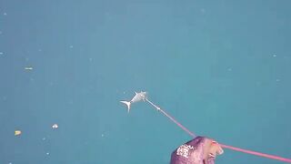 Подводная охота у Эль-Нидо на Палаване: поиск макрели и приготовление добычи на острове