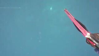 Подводная охота у Эль-Нидо на Палаване: поиск макрели и приготовление добычи на острове