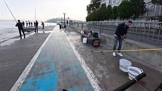 Октябрьская пеламида на Босфоре в Стамбуле: ранний выход, джиг и рыбалка среди береговых стай