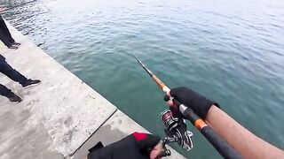 Октябрьская пеламида на Босфоре в Стамбуле: ранний выход, джиг и рыбалка среди береговых стай