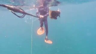 Совместная подводная охота на Палаване: островная рыбалка филиппинских участников и показ добычи