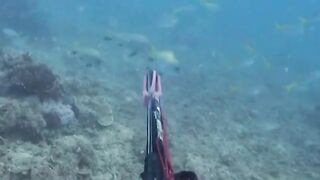 Совместная подводная охота на Палаване: островная рыбалка филиппинских участников и показ добычи