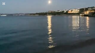 Береговая рыбалка в Дальяне у Чешме: донная оснастка, моллюск на крючке и морской карась