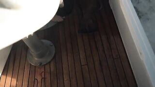 Глубоководная рыбалка у Гренады с подъемом груперов возле Кик-эм-Дженни и ужином от шефа