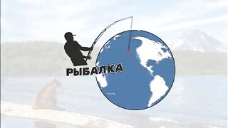 По удаленным рекам Камчатки на вертолете с первыми лососевыми рыбалками и обедом из свежего улова