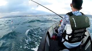 Крупный карангс у Оаху на поппер с лодки и досадный сход после ослабления натяжения лески