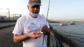 Ставрида с Галатского моста в Стамбуле: как местные рыбаки ловят на самодур и мелкие крючки