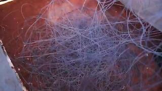 Рыбалка из Акабы в Иордании: выход на Красное море, разговоры с экипажем и радость от улова
