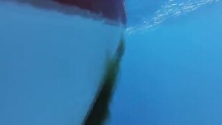 Рыбалка из Акабы в Иордании: выход на Красное море, разговоры с экипажем и радость от улова