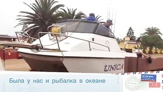 Акула на длинную береговую снасть в Намибии во время семейной поездки по атлантическому побережью