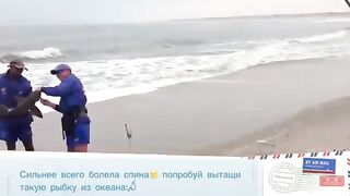 Акула на длинную береговую снасть в Намибии во время семейной поездки по атлантическому побережью