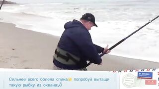 Акула на длинную береговую снасть в Намибии во время семейной поездки по атлантическому побережью
