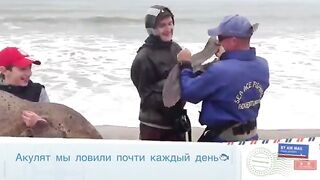 Акула на длинную береговую снасть в Намибии во время семейной поездки по атлантическому побережью