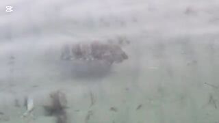 Ночная рыбалка на семейном пляже Аль-Вакры в Катаре с компанией друзей до самого рассвета