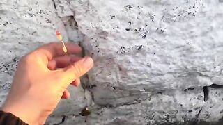 Камбала с берега в Балтийске: рыбалка на креветку рядом с машиной и поклевка в прямом эфире