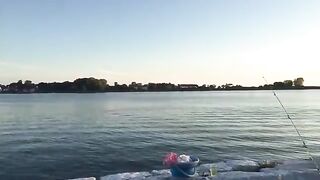 Камбала с берега в Балтийске: рыбалка на креветку рядом с машиной и поклевка в прямом эфире