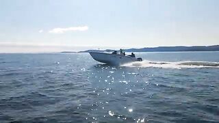 Ловля трески в Баренцевом море из Мурманска: майский выход с капитаном и подъем рыбы с глубины